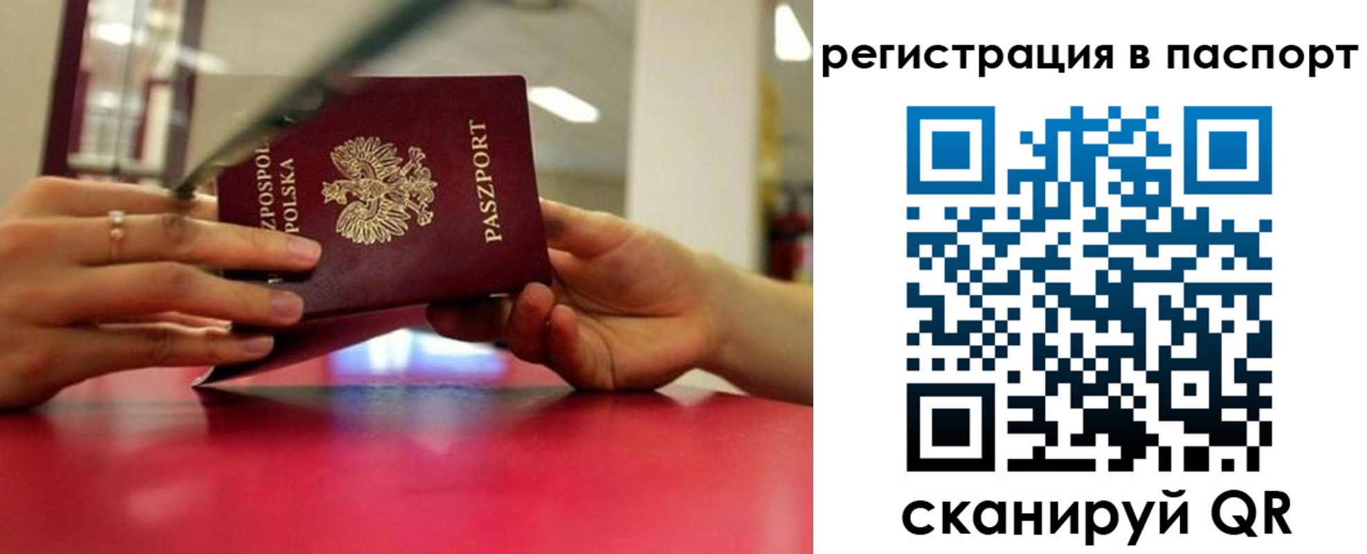 пропишу в квартире в Волоколамске